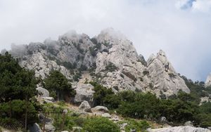 Preview wallpaper mountains, fog, trees, landscape, clouds, protection