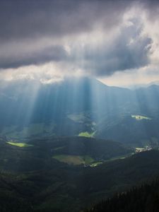 Preview wallpaper mountains, fog, valley, alps, trees