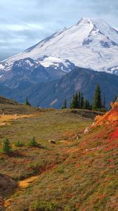 Preview wallpaper mountains, fog, vegetation, fur-trees, autumn