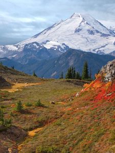 Preview wallpaper mountains, fog, vegetation, fur-trees, autumn