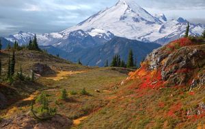 Preview wallpaper mountains, fog, vegetation, fur-trees, autumn