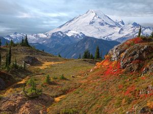 Preview wallpaper mountains, fog, vegetation, fur-trees, autumn