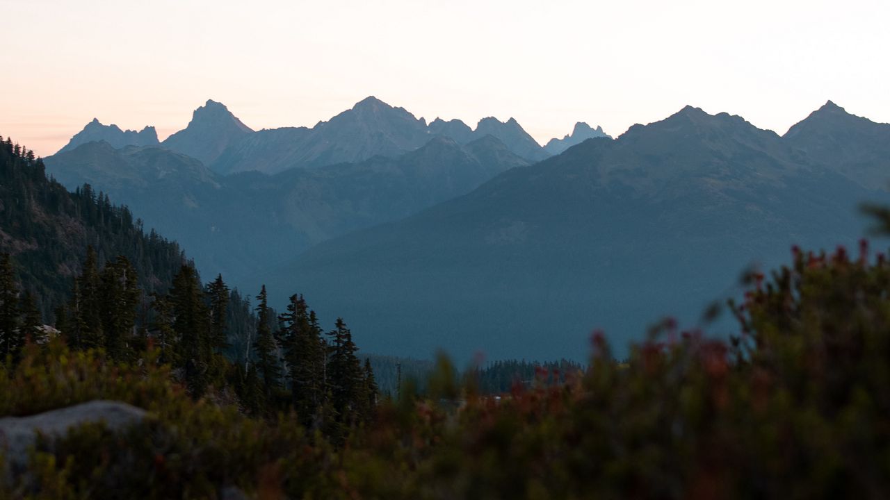 Wallpaper mountains, foothills, trees, bushes, landscape