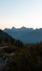 Preview wallpaper mountains, foothills, trees, bushes, landscape