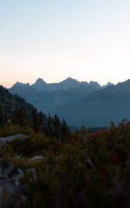 Preview wallpaper mountains, foothills, trees, bushes, landscape
