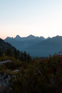 Preview wallpaper mountains, foothills, trees, bushes, landscape