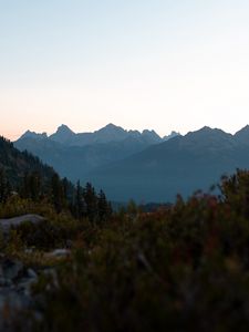 Preview wallpaper mountains, foothills, trees, bushes, landscape
