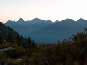 Preview wallpaper mountains, foothills, trees, bushes, landscape