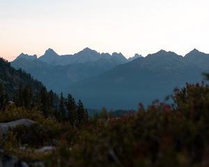 Preview wallpaper mountains, foothills, trees, bushes, landscape