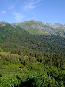Preview wallpaper mountains, forest, aerial view, landscape, green