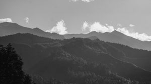 Preview wallpaper mountains, forest, bw, fog, landscape