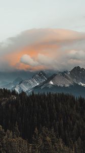 Preview wallpaper mountains, forest, clouds, mountain range, landscape