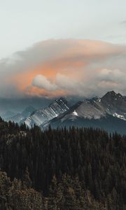 Preview wallpaper mountains, forest, clouds, mountain range, landscape