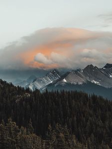 Preview wallpaper mountains, forest, clouds, mountain range, landscape