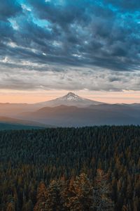 Preview wallpaper mountains, forest, clouds, fog, landscape