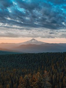 Preview wallpaper mountains, forest, clouds, fog, landscape