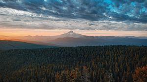 Preview wallpaper mountains, forest, clouds, fog, landscape
