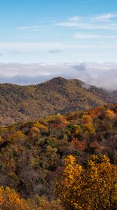 Preview wallpaper mountains, forest, clouds, landscape, autumn