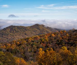 Preview wallpaper mountains, forest, clouds, landscape, autumn