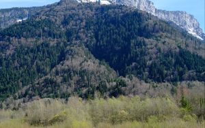 Preview wallpaper mountains, forest, coast, river, nature