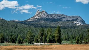Preview wallpaper mountains, forest, field, sky, landscape, clouds