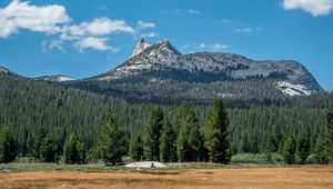 Preview wallpaper mountains, forest, field, sky, landscape, clouds