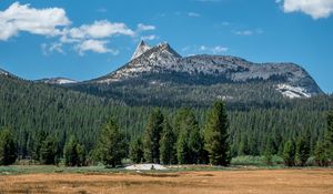 Preview wallpaper mountains, forest, field, sky, landscape, clouds