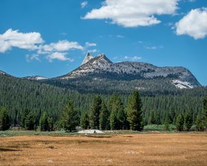 Preview wallpaper mountains, forest, field, sky, landscape, clouds