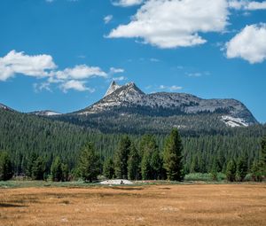Preview wallpaper mountains, forest, field, sky, landscape, clouds