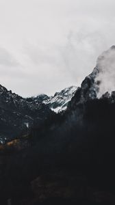 Preview wallpaper mountains, forest, fog, landscape, alpine
