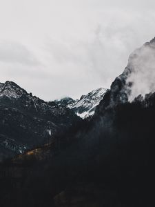 Preview wallpaper mountains, forest, fog, landscape, alpine