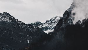 Preview wallpaper mountains, forest, fog, landscape, alpine
