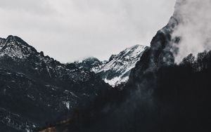 Preview wallpaper mountains, forest, fog, landscape, alpine