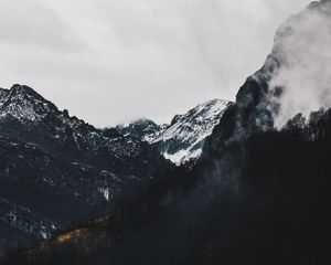 Preview wallpaper mountains, forest, fog, landscape, alpine