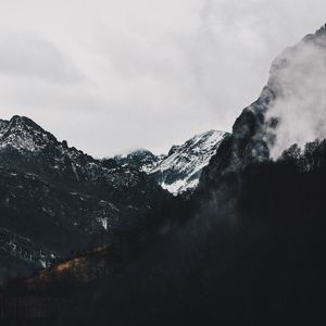 Preview wallpaper mountains, forest, fog, landscape, alpine