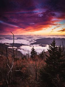 Preview wallpaper mountains, forest, fog, clouds, landscape