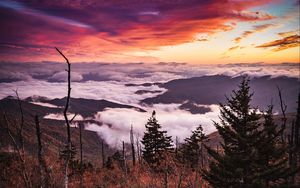 Preview wallpaper mountains, forest, fog, clouds, landscape