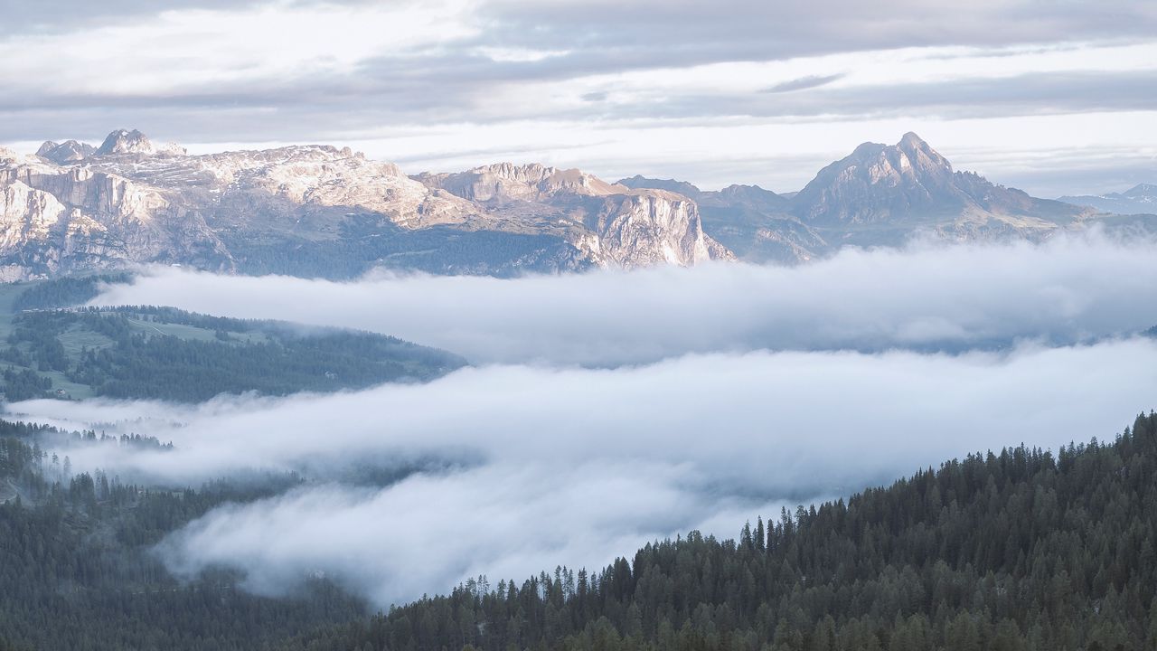Wallpaper mountains, forest, fog, clouds, landscape