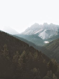 Preview wallpaper mountains, forest, fog, slopes, trees