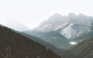 Preview wallpaper mountains, forest, fog, slopes, trees