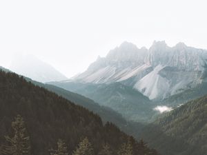 Preview wallpaper mountains, forest, fog, slopes, trees