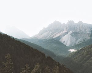 Preview wallpaper mountains, forest, fog, slopes, trees