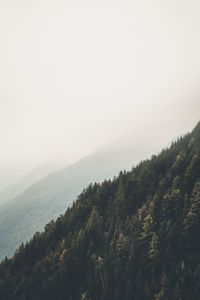 Preview wallpaper mountains, forest, fog, slopes, landscape