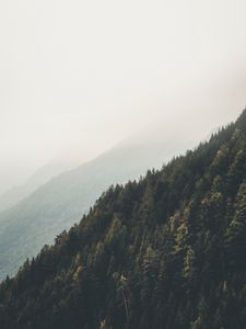 Preview wallpaper mountains, forest, fog, slopes, landscape