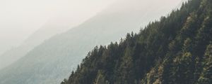 Preview wallpaper mountains, forest, fog, slopes, landscape