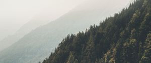 Preview wallpaper mountains, forest, fog, slopes, landscape