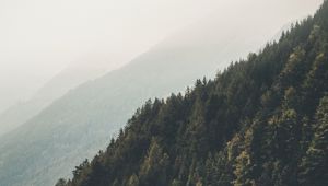 Preview wallpaper mountains, forest, fog, slopes, landscape