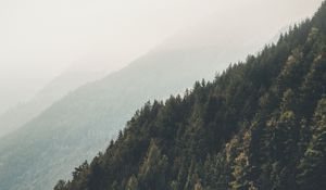 Preview wallpaper mountains, forest, fog, slopes, landscape