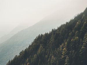 Preview wallpaper mountains, forest, fog, slopes, landscape