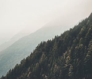 Preview wallpaper mountains, forest, fog, slopes, landscape